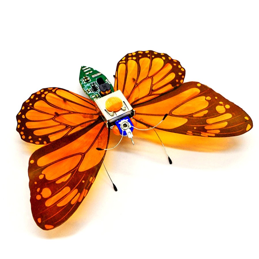 Diy Engine Engine DIY | Diy Assembly Mechanical Insect Model Kits Handmade Scientific Toy Set With Voice-Activated Photo Frame - Butterfly (Random Color)